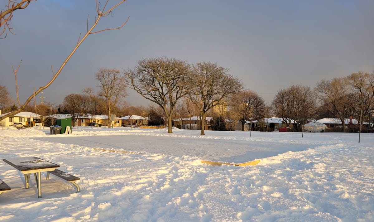 Photo of ice rink at Willow Glen Park