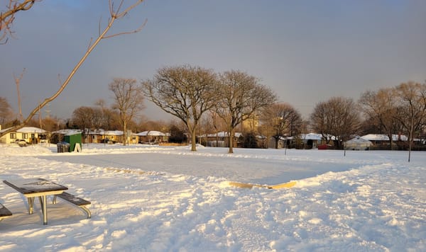 Photo of ice rink at Willow Glen Park